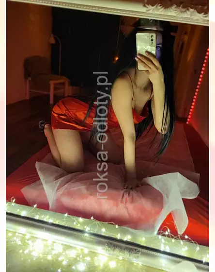 Liza szczupła kicia