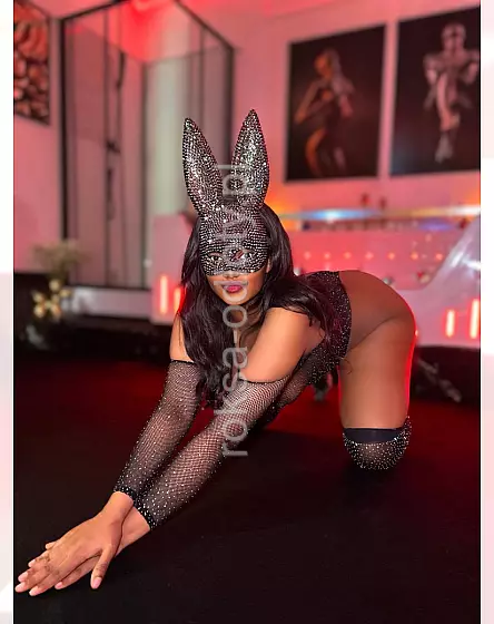 Amara latino