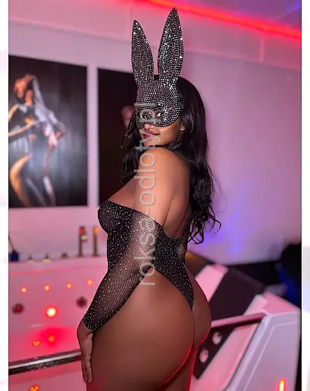 Amara latino
